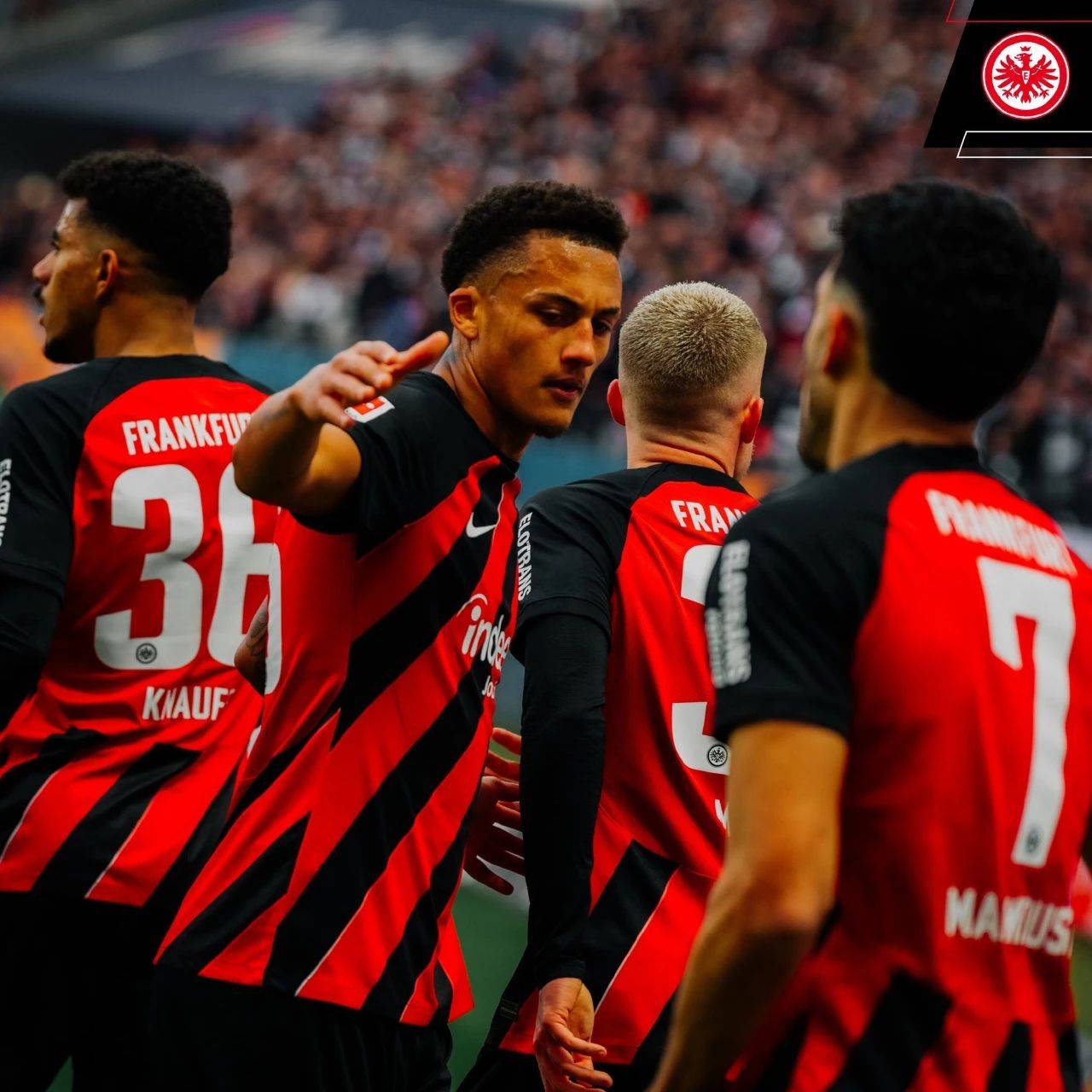 法兰克福胜出，德甲升班马表现抢眼的简单介绍