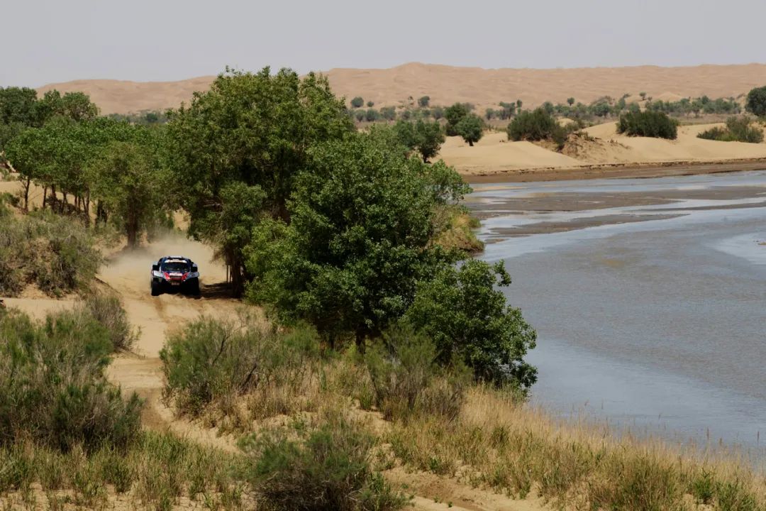 关于镇江田于队实力逐渐增强，蓄势待发冲击榜首的信息