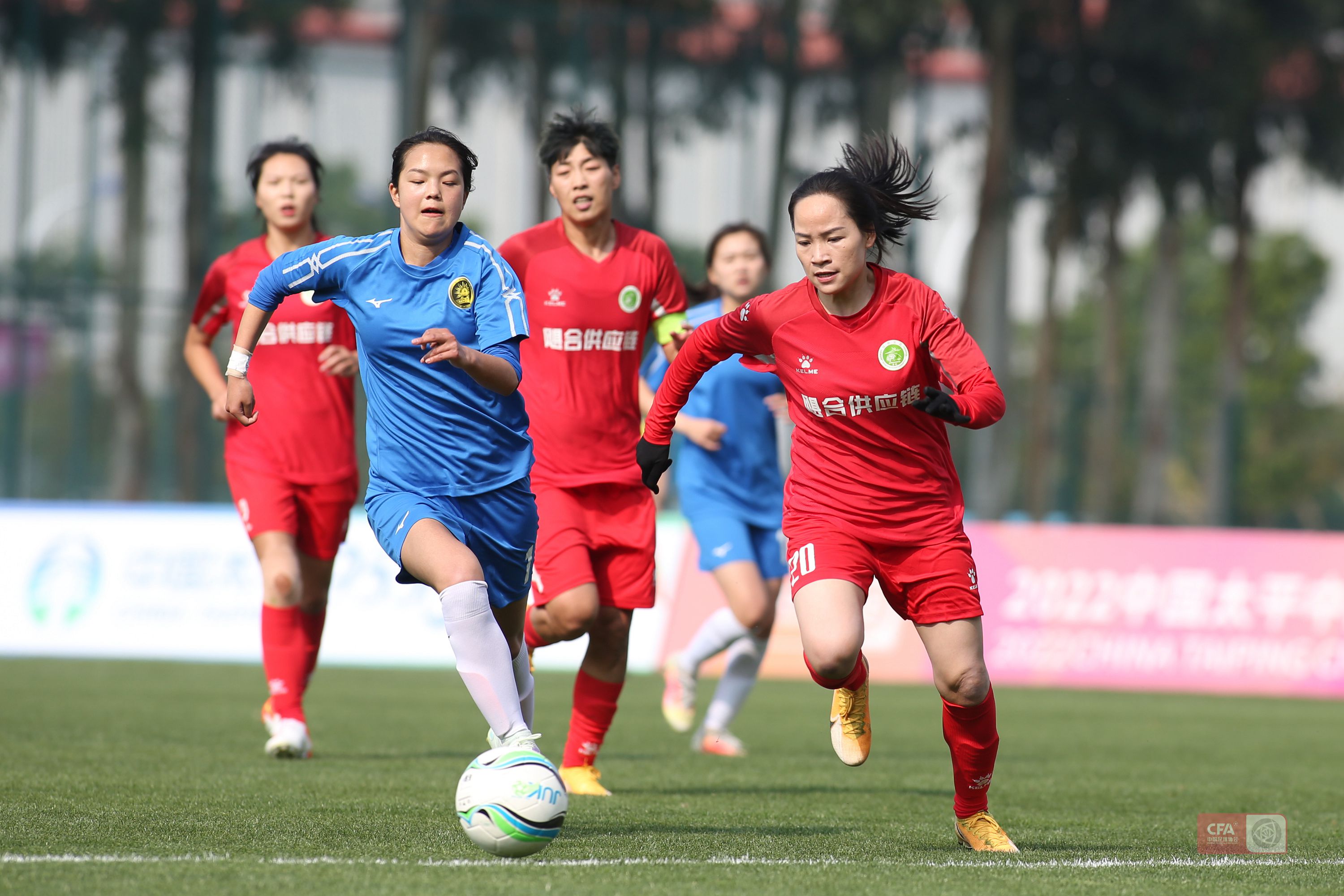 关于荷兰女足历史性晋级四强，全队欢呼雀跃的信息