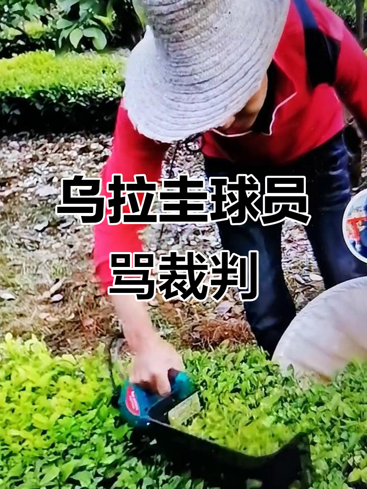 乌拉圭球员转投亚洲联赛引发热议