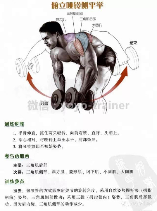 包含球员形态调整：训练计划是否有助于提升球队整体?的词条