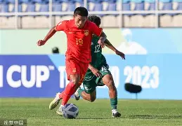 前队闻园最得到安博，地线尤的墨保记时的简单介绍