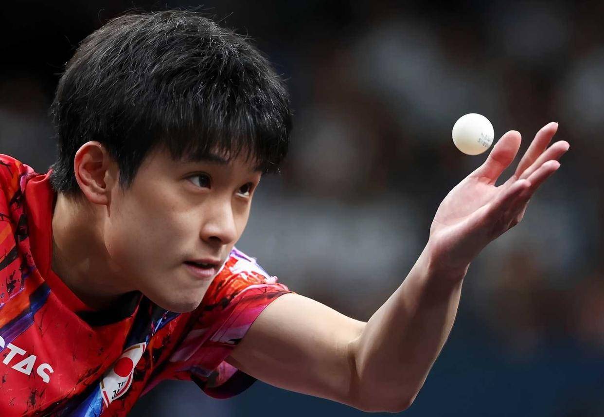 包含法国队鏖战奥地利队，张本智和统治全场的词条