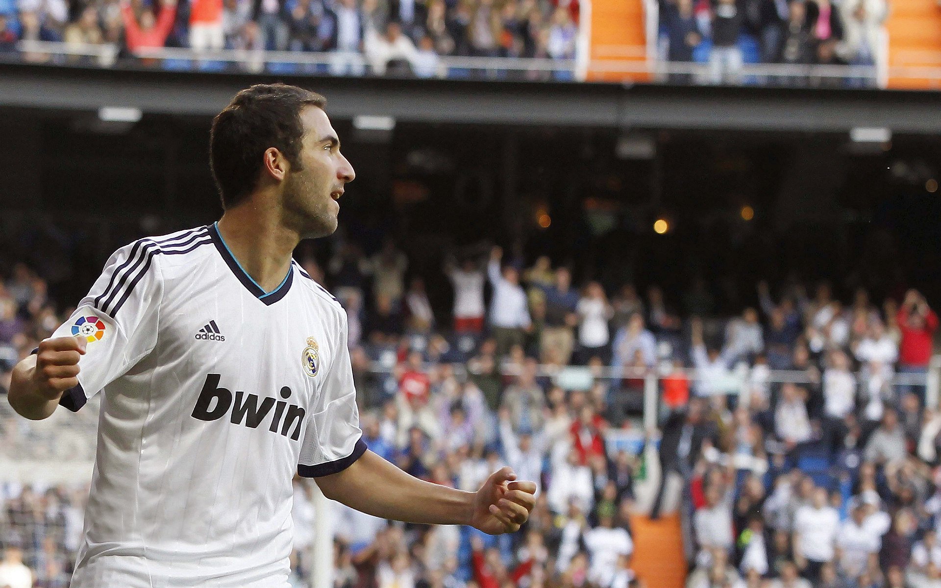 紫百合的希腊神话，马丁内利一箭定江山